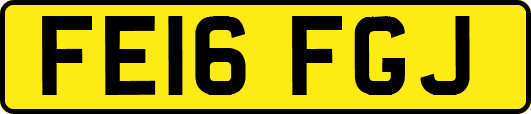 FE16FGJ