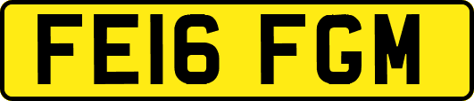 FE16FGM