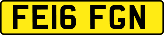 FE16FGN