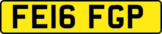 FE16FGP