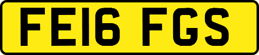 FE16FGS