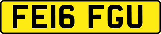 FE16FGU