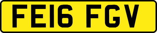 FE16FGV