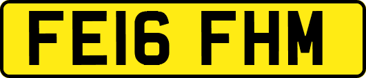 FE16FHM