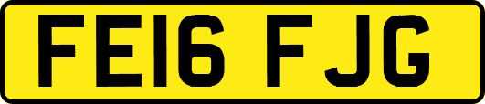 FE16FJG