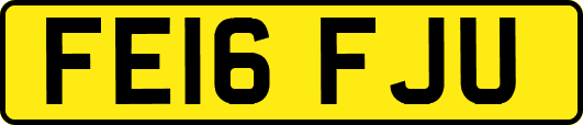 FE16FJU