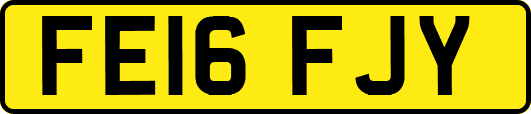 FE16FJY