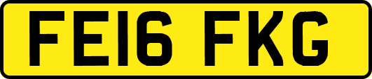 FE16FKG