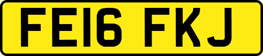 FE16FKJ