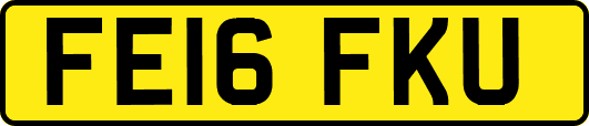 FE16FKU
