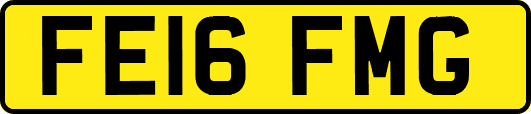 FE16FMG