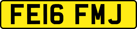 FE16FMJ