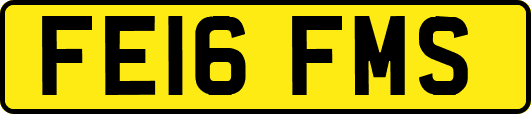 FE16FMS