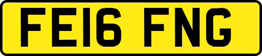 FE16FNG