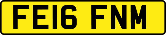 FE16FNM