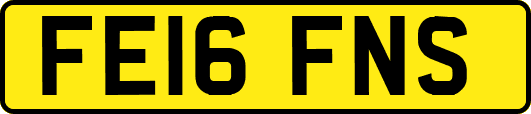 FE16FNS