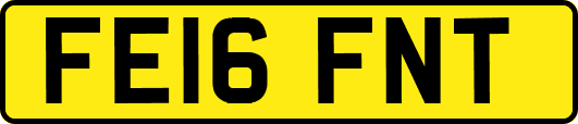 FE16FNT