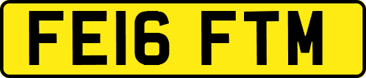 FE16FTM