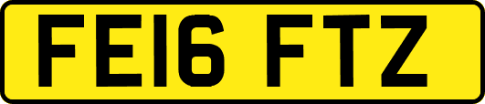 FE16FTZ