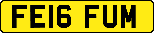 FE16FUM