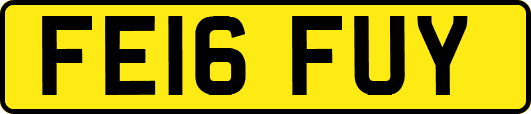 FE16FUY