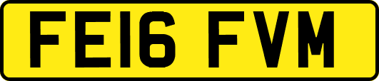 FE16FVM