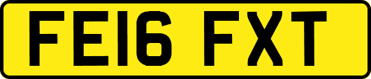 FE16FXT