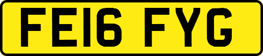 FE16FYG