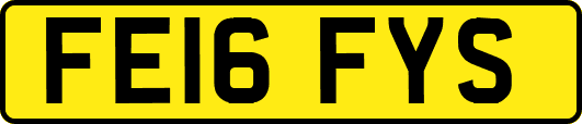 FE16FYS