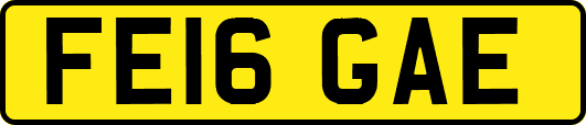 FE16GAE