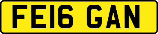FE16GAN