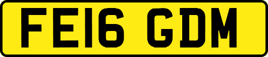 FE16GDM