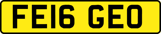 FE16GEO
