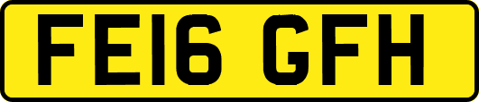 FE16GFH