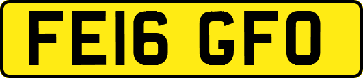 FE16GFO