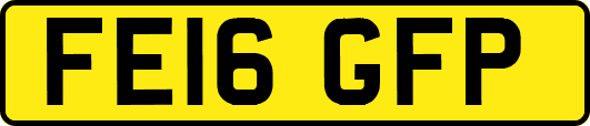 FE16GFP