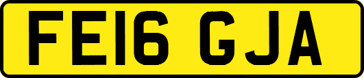 FE16GJA
