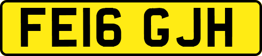 FE16GJH