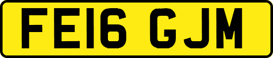 FE16GJM