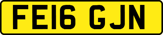 FE16GJN