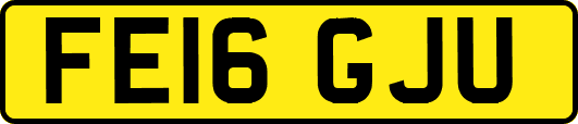 FE16GJU