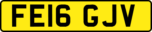 FE16GJV