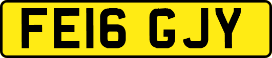 FE16GJY