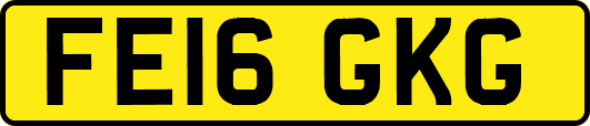 FE16GKG