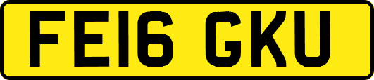 FE16GKU