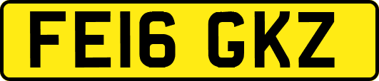 FE16GKZ
