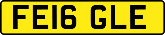 FE16GLE
