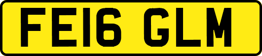 FE16GLM