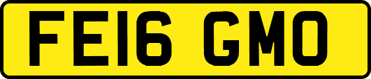 FE16GMO
