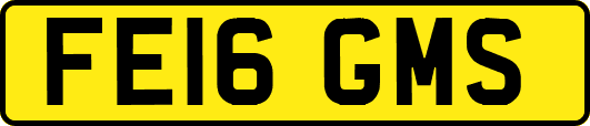 FE16GMS